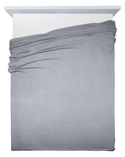 Eurofirany Fleecová deka POLAR 150x200 cm stříbrná