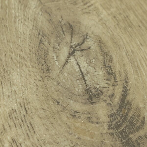 Beauflor, PVC podlaha - lino Texalino Supreme 667M Tasmanian Oak - dub, na míru, šíře 2m,3m,4m,5m, hnědá, filc, chodba / předsíň