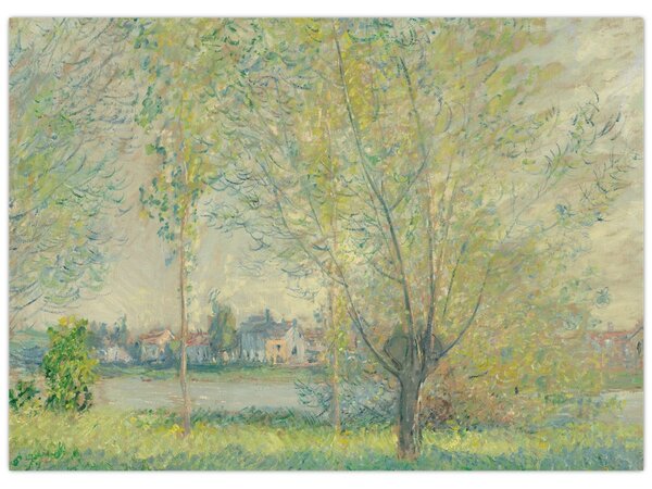 Obraz - Claude Monet, The Willows, reprodukce (70x50 cm)