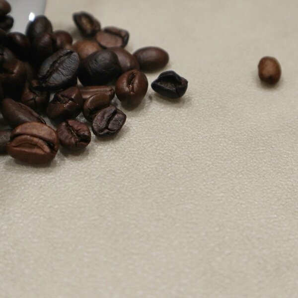 Gerflor, PVC podlaha - lino AladinTex Ultra 2366 Chicago sand, na míru, šíře 4m, béžová, filc, chodba / předsíň