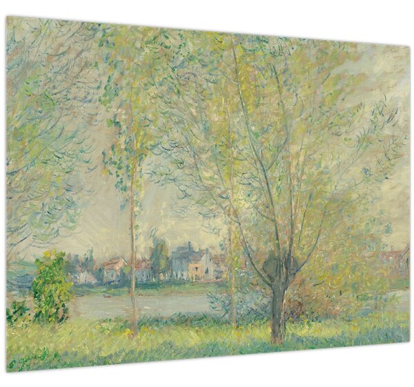 Obraz - Claude Monet, The Willows, reprodukce (70x50 cm)