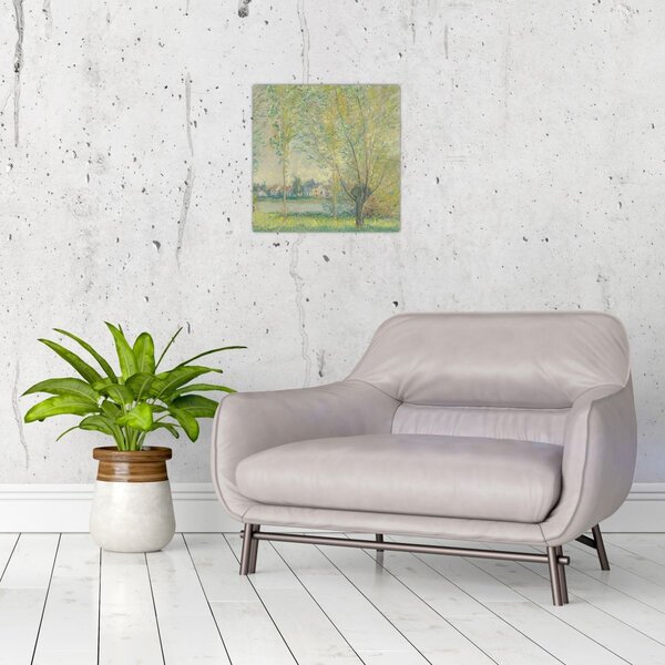 Obraz - Claude Monet, The Willows, reprodukce (30x30 cm)