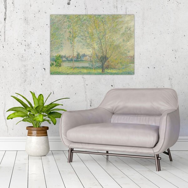 Obraz - Claude Monet, The Willows, reprodukce (70x50 cm)