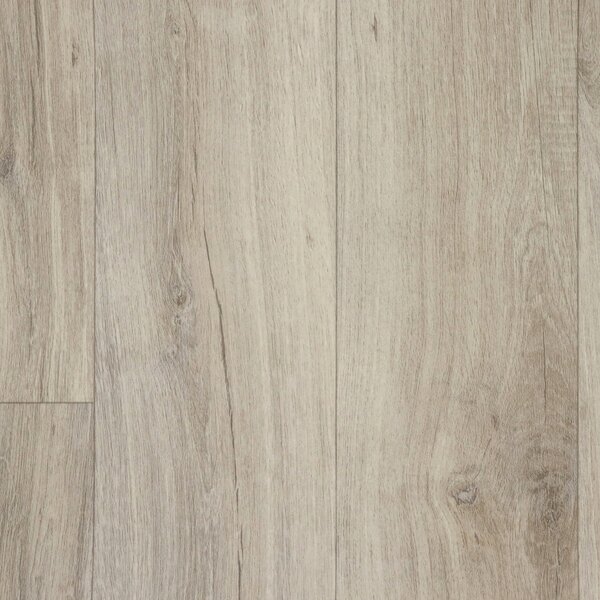 Beauflor, PVC podlaha - lino Texalino Supreme 971L Pristine Oak - dub, na míru, šíře 2m,3m,4m,5m, šedá, filc, chodba / předsíň