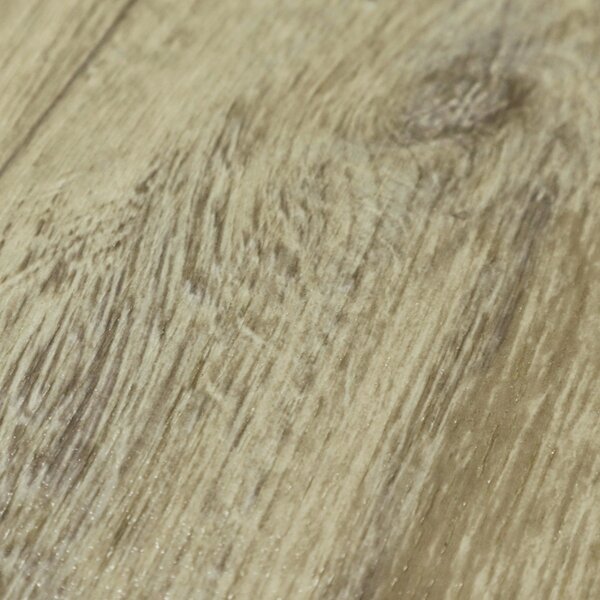 Beauflor, PVC podlaha - lino Texalino Supreme 611M Stamford Oak - dub, na míru, šíře 2m,3m,4m,5m, béžová, filc, chodba / předsíň