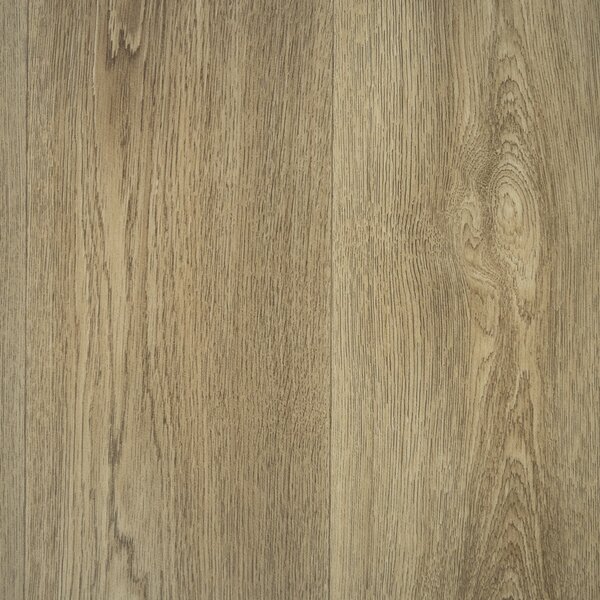 Beauflor, PVC podlaha - lino Blacktex Columbian Oak 636L - dub, na míru, šíře 4m, hnědá, filc, chodba / předsíň