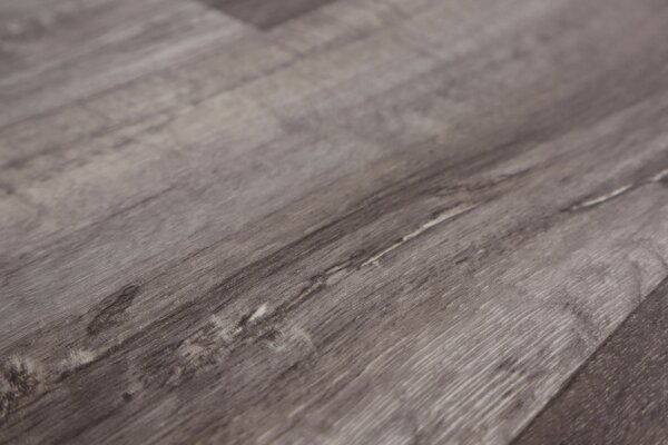 Beauflor, PVC podlaha - lino Toptex Lime Oak 796M - dub, na míru, šíře 4m,5m, šedá, filc, chodba / předsíň