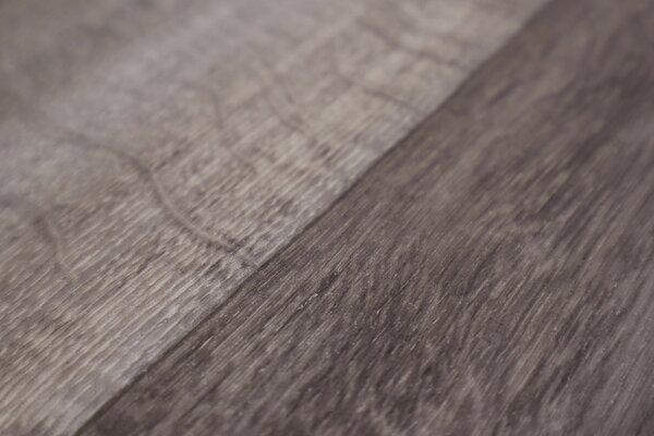 Beauflor, PVC podlaha - lino Toptex Lime Oak 796M - dub, na míru, šíře 4m,5m, šedá, filc, chodba / předsíň