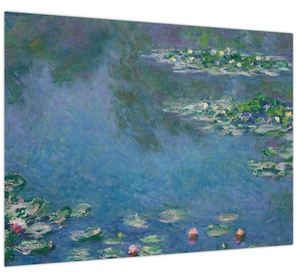 Obraz - Claude Monet, Water Lilies, reprodukce (70x50 cm)