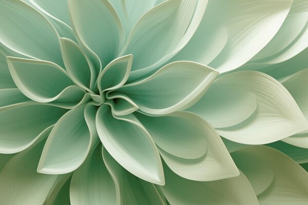 Fototapety Botanická geometrie, Fototapety geometrie, w05559 : uwalls.cz