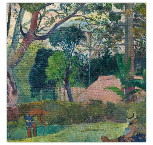 Obraz - Paul Gauguin, Te raau rahi (The Big Tree), reprodukce (30x30 cm)