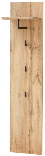 ŠATNÍ PANEL, barvy dubu, 35/153/30 cm Xora - Šatní panely, Online Only