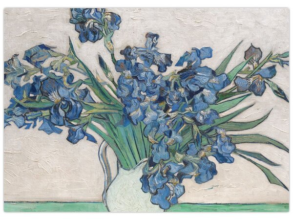 Obraz - Vincent van Gogh, Irises, reprodukce (70x50 cm)