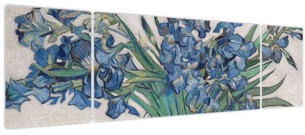 Obraz - Vincent van Gogh, Irises, reprodukce (170x50 cm)