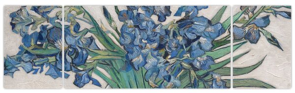 Obraz - Vincent van Gogh, Irises, reprodukce (170x50 cm)