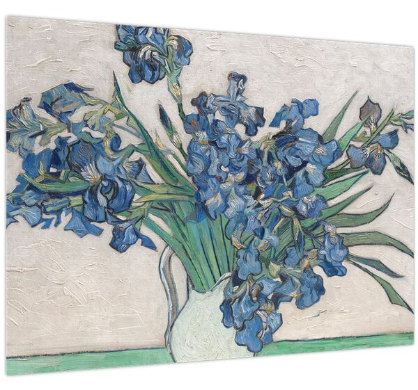 Obraz - Vincent van Gogh, Irises, reprodukce (70x50 cm)
