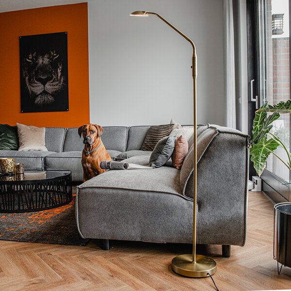 Moderní stojací lampa bronzová vč. LED - Eva