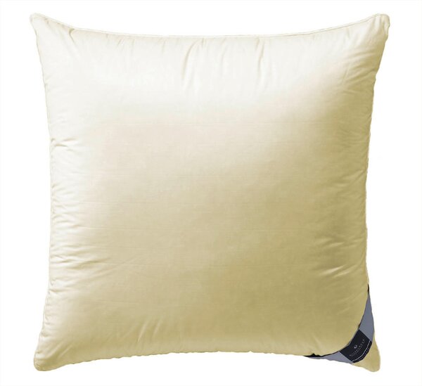 POLŠTÁŘ POD HLAVU, 80/80 cm Billerbeck - Polštáře pod hlavu, Online Only