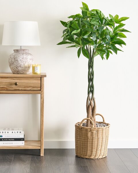 Umělá rostlina PACHIRA TREE 120 cm Zelená