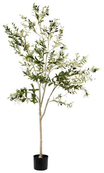 Umělá rostlina OLIVE TREE 178 cm Zelená