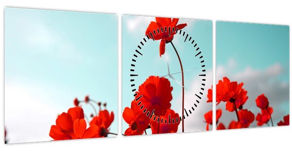 Obraz pole s jasně červenými květy (s hodinami) (90x30 cm)