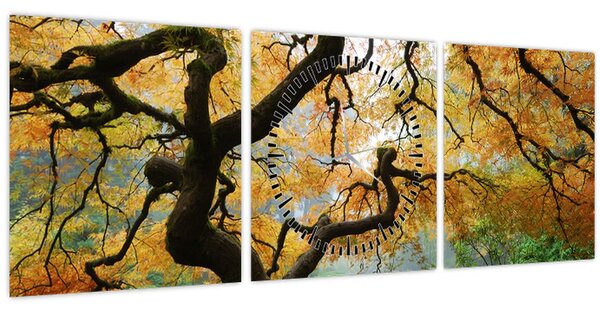 Obraz žlutého japonského javoru, Portland, Oregon (s hodinami) (90x30 cm)