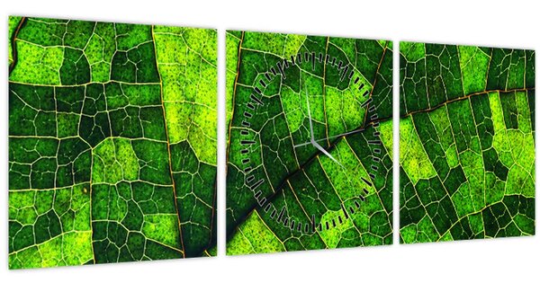 Obraz - Detail listu (s hodinami) (90x30 cm)