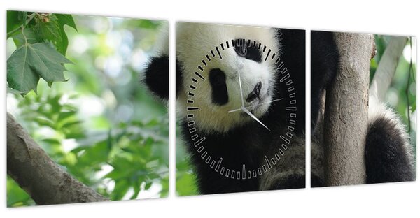 Obraz - Panda na stromě (s hodinami) (90x30 cm)