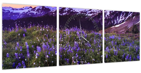 Obraz - Sopka a květiny (s hodinami) (90x30 cm)