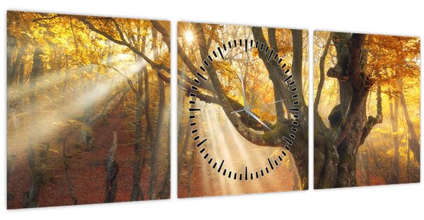 Obraz - Podzimní svit (s hodinami) (90x30 cm)