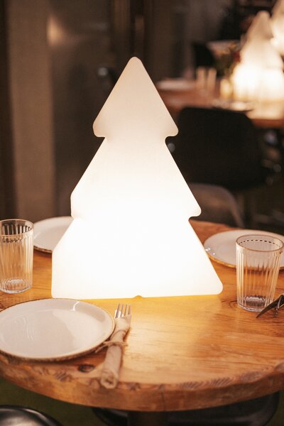Vánoční stojací lampa bílá 40 cm včetně solárního a dobíjecího RGBW LED - Pinus