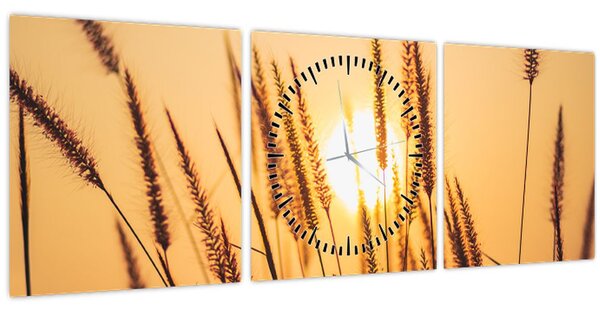 Obraz - Traviny ve slunci (s hodinami) (90x30 cm)