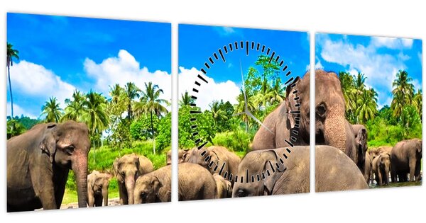 Obraz - Sloni, Sri Lanka (s hodinami) (90x30 cm)