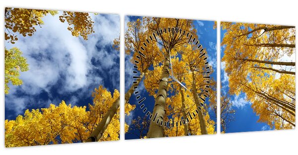 Obraz - Aspen (s hodinami) (90x30 cm)