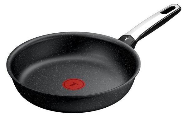 Tefal G3330443 Expertise+