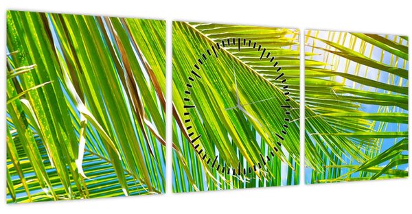 Obraz - Palmové listy (s hodinami) (90x30 cm)