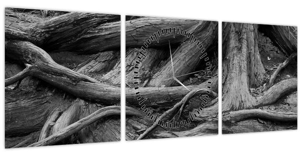 Obraz - Kořeny stromu (s hodinami) (90x30 cm)