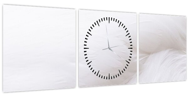 Obraz - Bílé pírko (s hodinami) (90x30 cm)