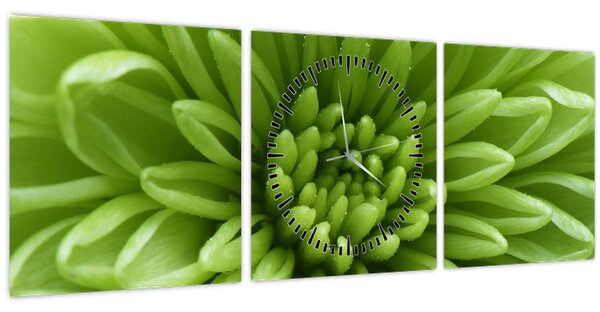 Obraz - Makro snímek rostliny (s hodinami) (90x30 cm)
