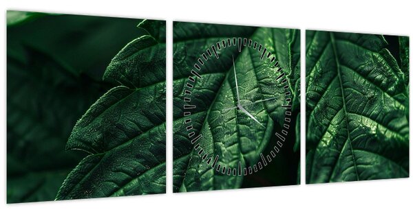 Obraz - Detail listu (s hodinami) (90x30 cm)