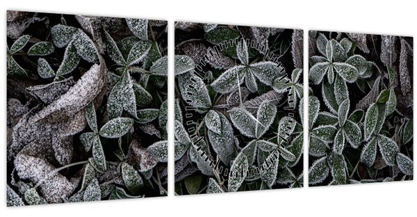 Obraz - Zmrzlé rostliny (s hodinami) (90x30 cm)