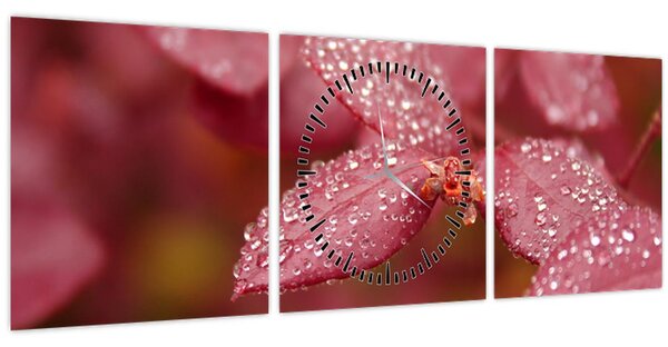 Obraz - Makro snímek lístku (s hodinami) (90x30 cm)