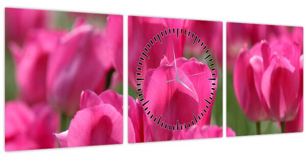 Obraz - Růžové tulipány (s hodinami) (90x30 cm)