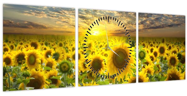 Obraz - Slunečnice při západu slunce (s hodinami) (90x30 cm)