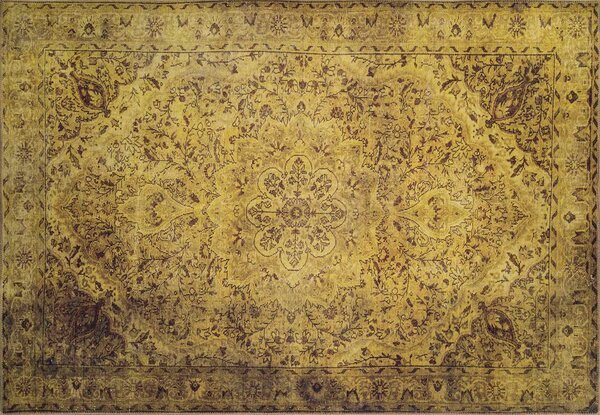 Conceptum Hypnose Kusový koberec Blues Chenille - Yellow AL 24, Vícebarevná