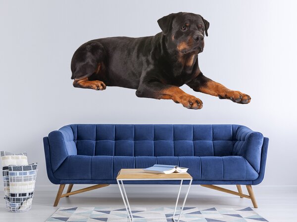 Pes Rotvajler 184 x 100 cm