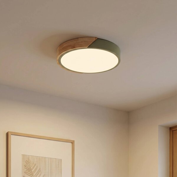 PRIOS LED stropní svítidlo Lynorri, Ø 32 cm, zelené, dekor dřeva, Zelená, Obývací pokoj / jídelna, Plast, Moderní