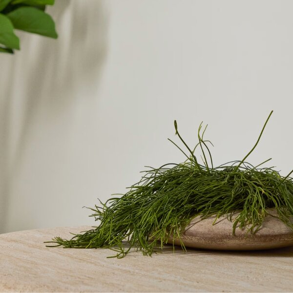 Terakotový květináč Kave Home Rivor Ø 50 cm