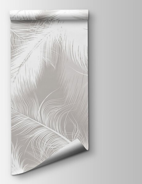 Fototapeta Bílé peří na šedém pozadí, Designové fototapety na zeď, Populární fototapety, u74474 - Tapeko.co.cz