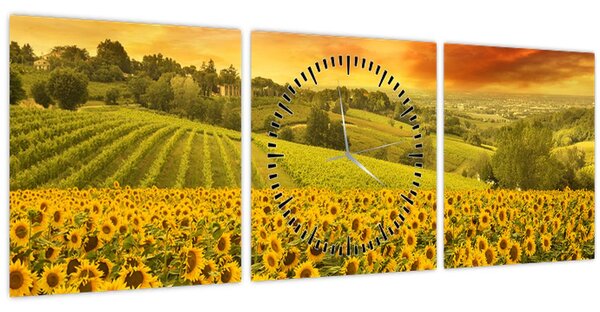 Obraz - Slunečnicové pole (s hodinami) (90x30 cm)